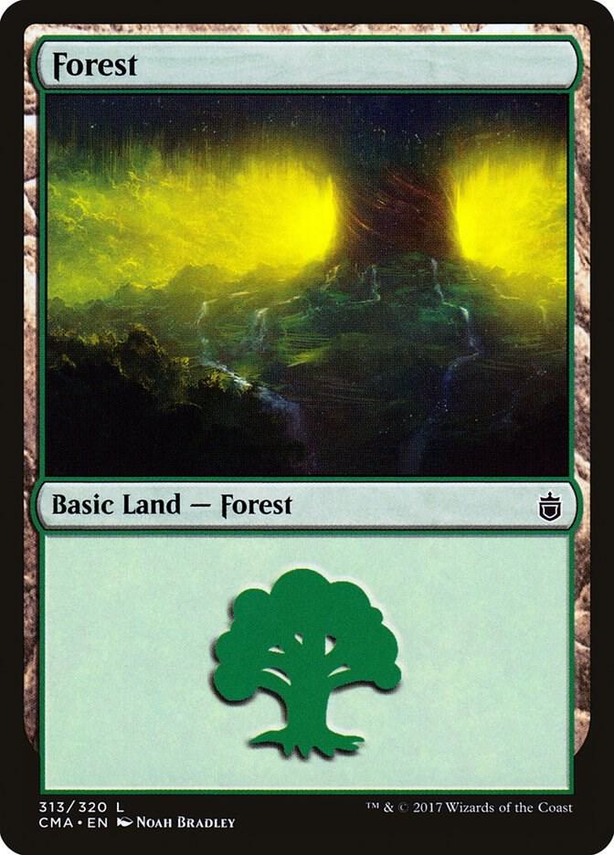 Forest (313)