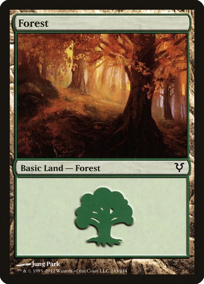 Forest (243)