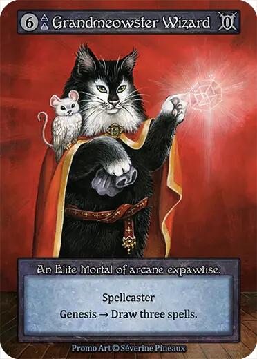 Grandmeowster Wizard [Welcome Kit Promos]