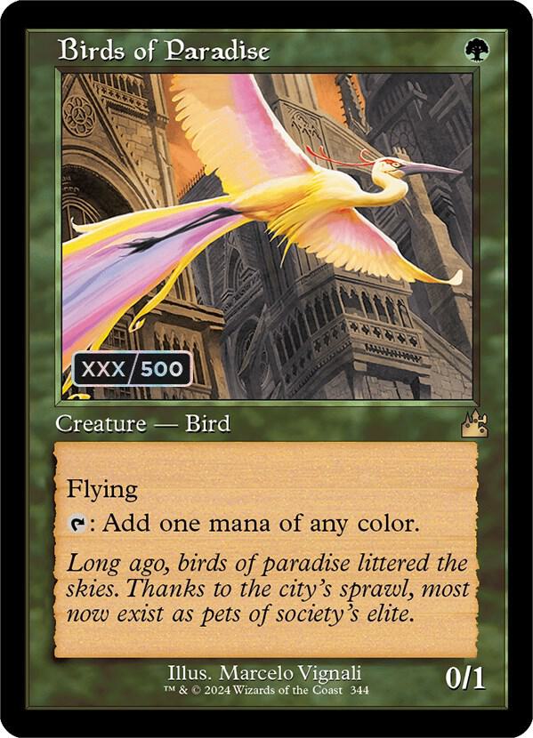 Birds of Paradise (Retro Frame) (Serial Numbered)