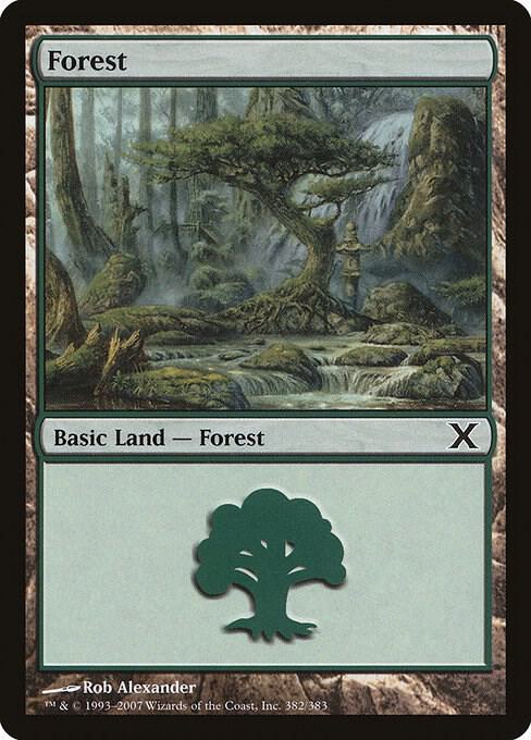 Forest (382)